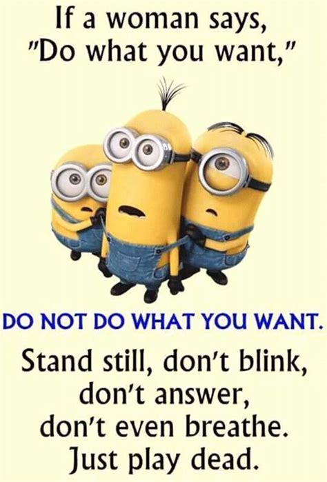 Vector Despicable Me Funny Pics Funny Minions Quotes With Images Giblrisbox Wallpaper
