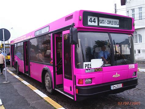 Fileconstanta Pink Bus Wikimedia Commons