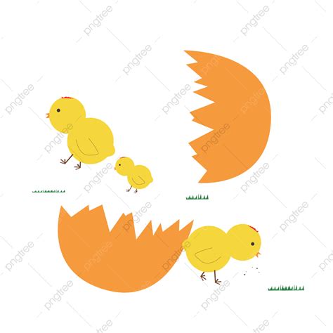 Gambar Desain Bahan Vektor Untuk Pemotongan Ayam Anak Ayam Kulit
