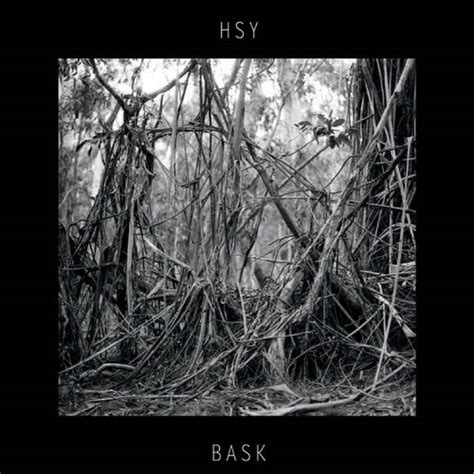Album Review Bask By Hsy Holy Crap