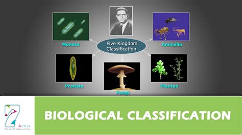 Biological Classification Youtube