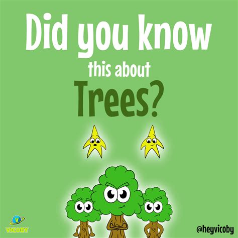 Did You Know Trees And Stars Fact Facts And Information Vicoby