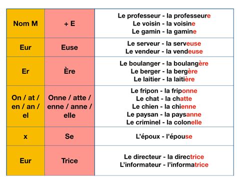Professions In French Masculine And Feminine