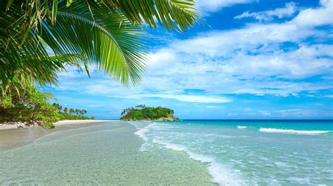 Blue Sea And Sky Wallpaper Beach Coast Palm Trees Tropical Water