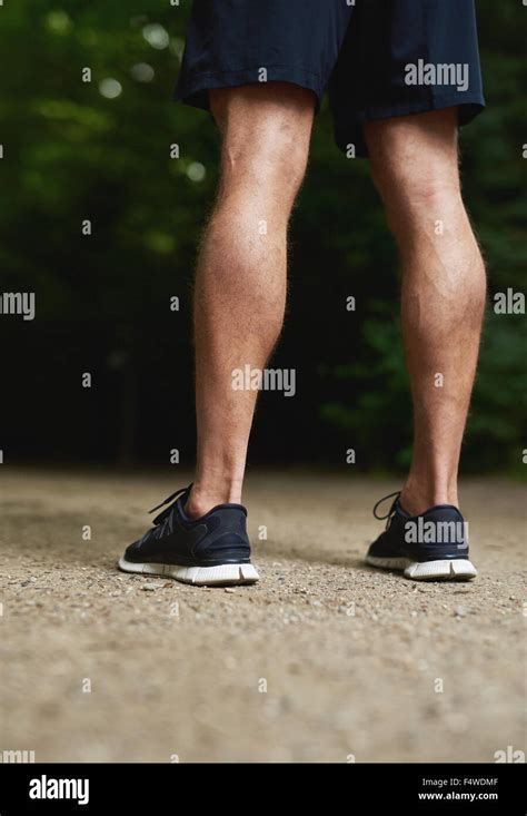 Rear View Of The Legs Of A Fit Muscular Athletic Man With Toned Calves