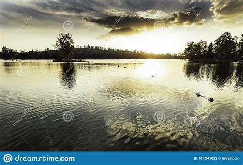 Lake Surrounded By Trees Under A Cloudy Sky During A Beautiful Sunset