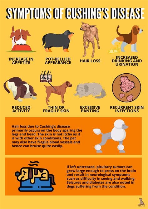 A Comprehensive Guide On Diagnosis And Treatment Of Cushings Disease