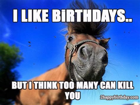 15 Hilarious Happy Birthday Horse Meme Photos Happy Birthday Horse