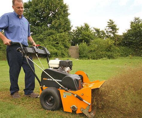 Lawn Care Advice And Treatments Uk Lawn Care Association