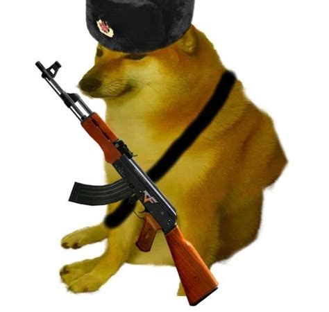 Bonk Dog Funny Doge Doge Meme Funny Profile Pictures Funny Reaction