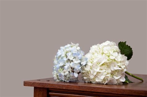 Invincibelle spirit ($30, the home depot) is a newer variety that blooms pink instead of the typical white. We Bet You Didn't Know This About White Hydrangeas