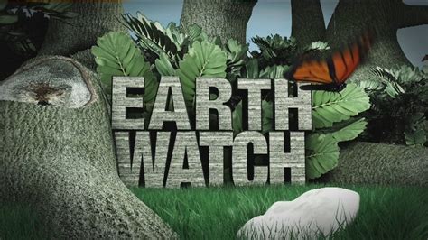 Earth Watch Esmart Recycling Fox 13 Tampa Bay