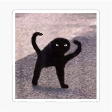 Cursed Cat Memes Cursed Cat Angry As Fuk Dank Meme Sticker For Sale