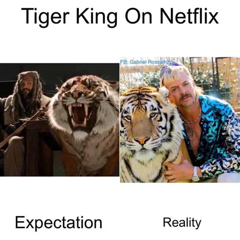 All The Very Best Tiger King Memes To Get You Through Quarantine
