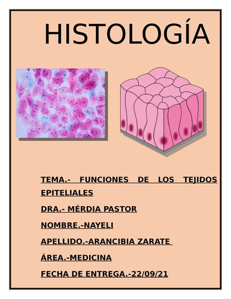 Histologia celulas del tejido epitelial HISTOLOGÍA TEMA FUNCIONES