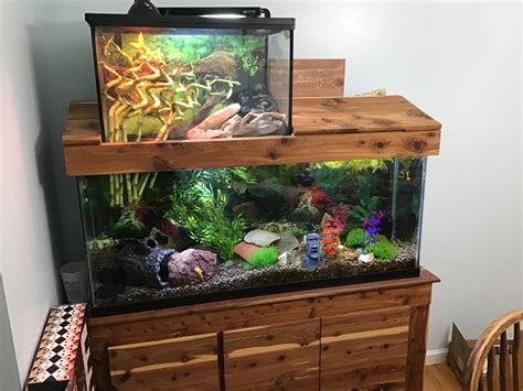 I Am Upgrading My Turtle Tank Soon I Thought I Would Show Everyone The