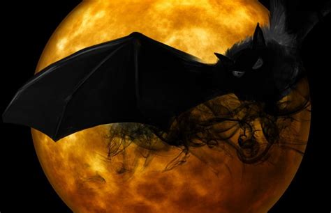 Free Image on Pixabay - Bat, Night, Creepy, Darkness | Halloween images ...