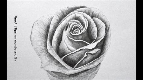 Drawing Flowers How To Draw A Rose With Pencil Fine Art