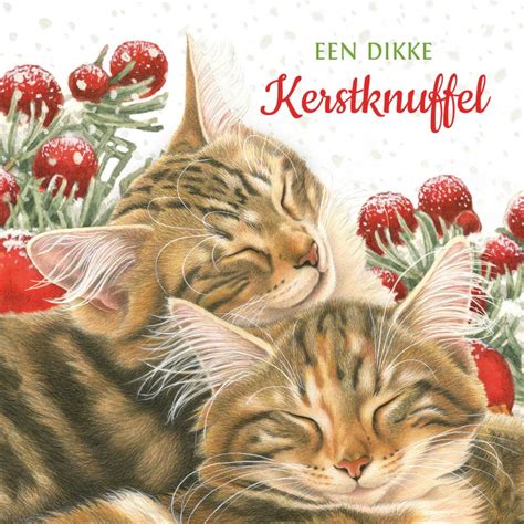 Dikke Kerstknuffel Kaart Met Lieve Kittens Kaartje Go