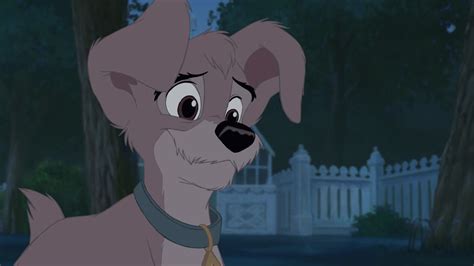 Scamp From Lady And The Tramp 2 Images Scamp Pup Hd Wallpaper And