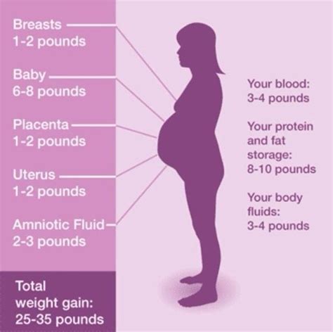 How to lose weight after pregnancy. How much weight should I lose to prepare to get pregnant? - Quora