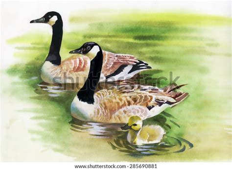 Geese Flock Swimming On Pond Watercolor Stock Illustration
