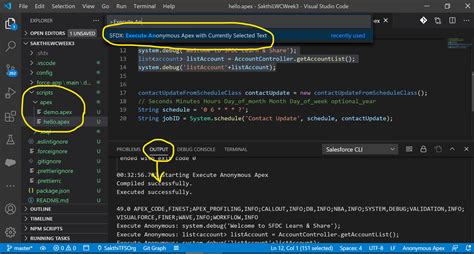 Visual Studio Code Tips Execute Anonymous Apex In Visual Studio Code
