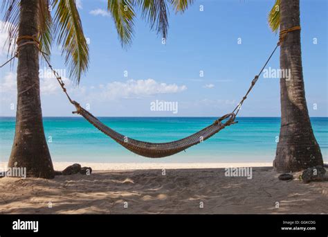 Palm Tree Hammock Beach Scene Hi Res Stock Photography And Images Alamy