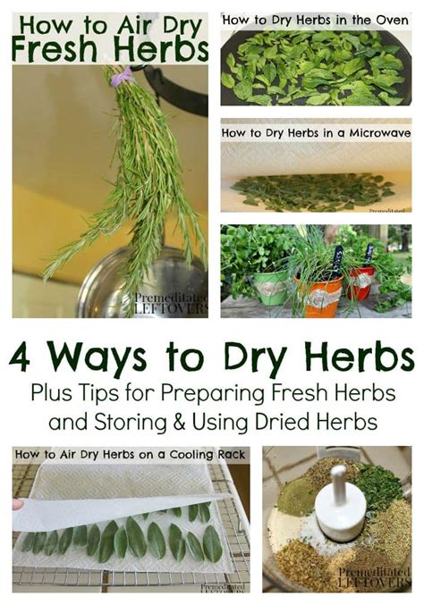 How To Dry Herbs 4 Methods To Dry Fresh Herbs