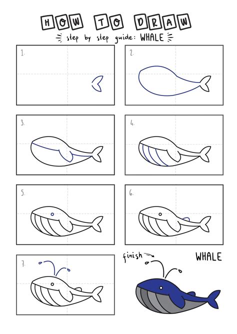 How To Draw A Whale Step By Step For Kids