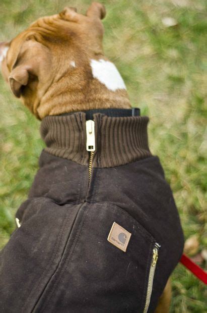 Canine Carhartt Coat For Your Pal Carhartt Coat Dog Coats Dog Clothes