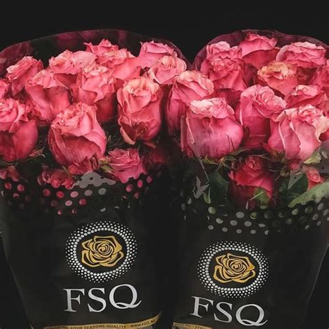 ROSE ART ECUADOR LARGE HEADS 50cm Wholesale Dutch Flowers Florist