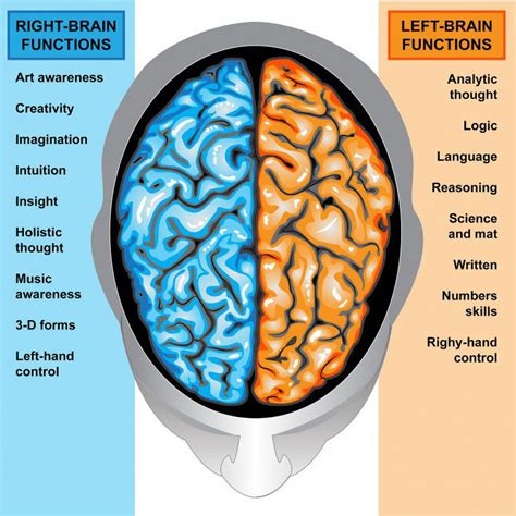 15 Facts About Left Handed People You Probably Didnt Know