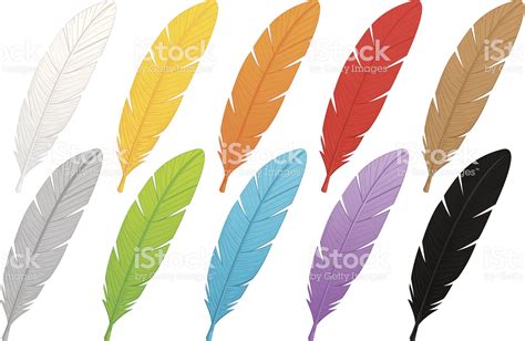 Multi Colored Feathers Free Vector Art Feather Vector Vector