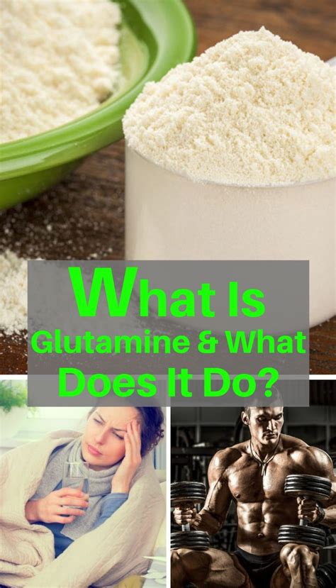 What Is Glutamine What Does It Do And Does It Help Build Muscle L