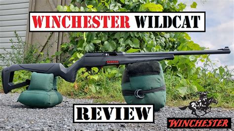 Winchester Wildcat Review 22lr Youtube