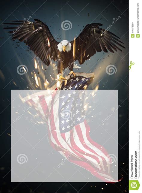 American Bald Eagle Flying With Flag Stock Illustration
