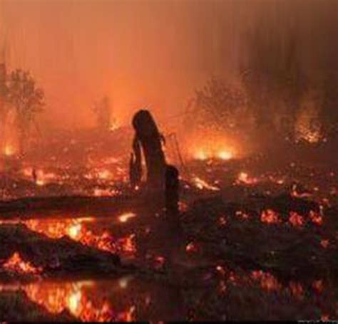 Siapakah Pembakar Hutan Dan Lahan Gaung AMAN Online