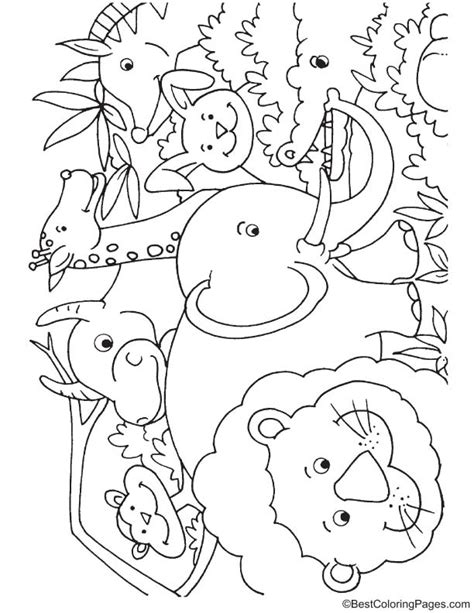 African Jungle Animals Coloring Page Download Free African Jungle