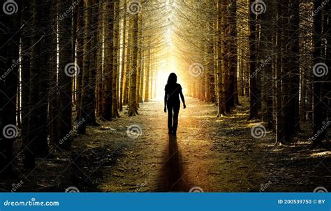 Woman On A Forest Path From Dark To Light Stock Photo Image Of
