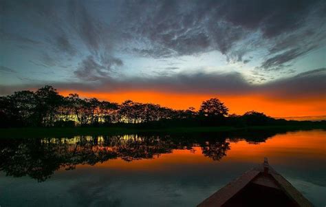 Pôr Do Sol Na Amazônia Beautiful Sunset Amazon Rainforest