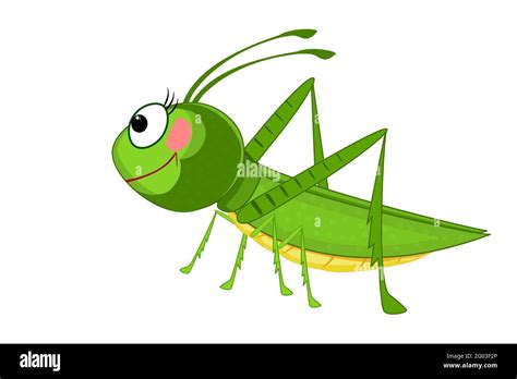 Cricket Face On Stock Vector Images Alamy