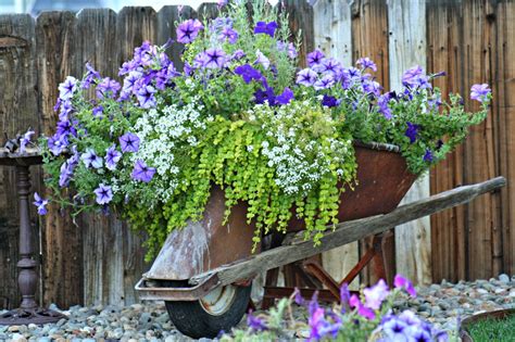 Check spelling or type a new query. MarvinsDaughters: Wheelbarrow Full of Flowers