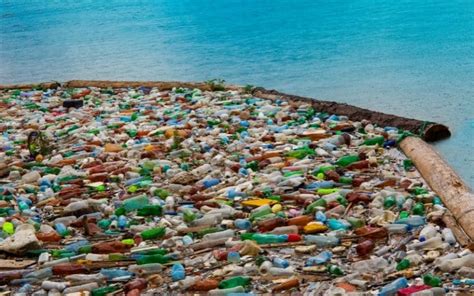 Singapore Australia And India Join Forces To Solve Marine Pollution