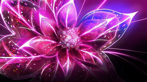 Purple And Pink Fractal Glittering Flower Hd Abstract Wallpapers Hd