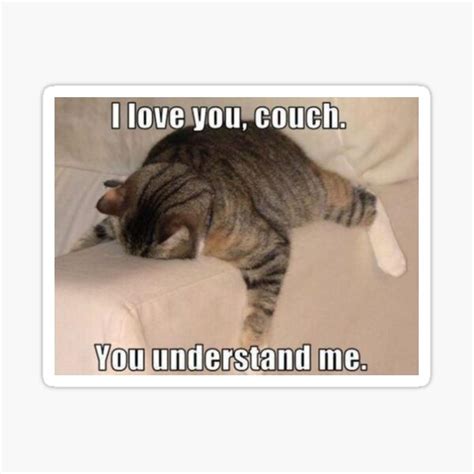 Funny Cute Cat Sleeping On Couch Memes Sticker For Sale By Pusla