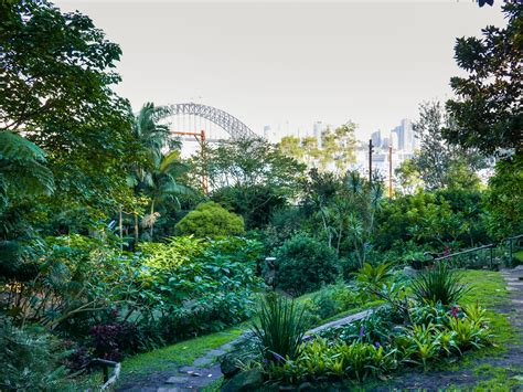 Sydney in Spring: The best gardens to visit - Ovolo Hotels