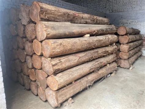 Teak Wood Round Logs At Rs 1700cubic Feet Teak Wood Logs In Sirsa Id 2850650821748