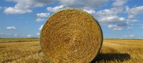 Square Hay Bales Vs Round Hay Bales Klene Pipe Structures