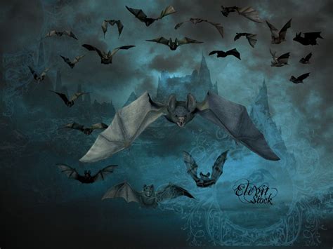 E S Bats Pack By Elevit Stock On Deviantart Bat Art Beautiful Dark